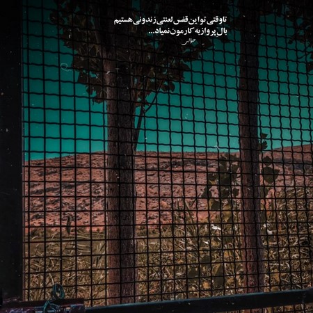 اوی نامبر اوسمان توش